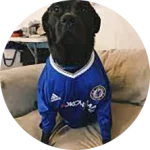 CakhiaTV - Full HD chiếu trực tiếp bóng đá Cakhia TV #1 22 Khán giả Chân Đen Sì