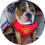 CakhiaTV - Full HD chiếu trực tiếp bóng đá Cakhia TV #1 20 Khán giả Đàn Thị Mân Nu