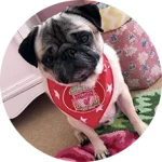 CakhiaTV - Full HD chiếu trực tiếp bóng đá Cakhia TV #1 21 Khán giả Lữ Đoàn Cho Đỉm